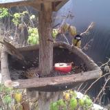 photo 2019-12-06 10-57-07