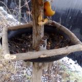 photo 2019-02-05 09-50-11