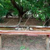 photo 2021-07-13 16-44-47