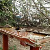 photo 2022-03-30 14-40-30