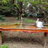 photo 2021-04-19 12-53-45