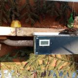 photo 2021-02-11 15-32-44