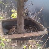 photo 2019-12-21 12-59-07