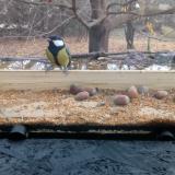 photo 2021-11-10 09-58-20