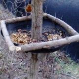 photo 2019-01-04 07-26-22