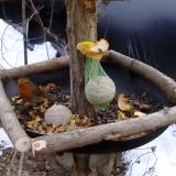 photo 2019-01-15 13-06-03