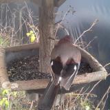 photo 2019-12-25 12-19-09