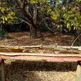 photo 2021-10-19 13-52-08