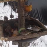 photo 2019-01-27 11-44-25