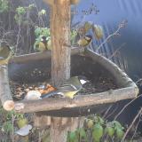 photo 2019-12-08 11-29-18