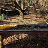 photo 2021-10-29 15-33-22