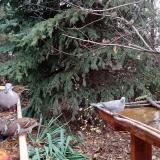 photo 2021-11-13 12-48-43