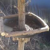 photo 2019-03-05 12-19-52