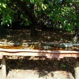 photo 2021-10-02 12-41-31