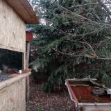 photo 2022-01-01 07-34-59