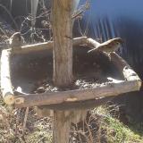 photo 2019-03-06 08-53-36