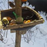 photo 2019-01-26 09-20-15