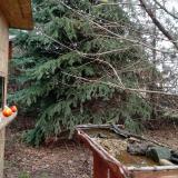 photo 2021-12-16 12-51-17