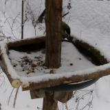 photo 2019-01-08 14-44-09