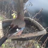 photo 2019-12-25 09-23-00