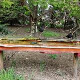 photo 2021-04-26 15-20-54