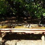 photo 2021-10-04 13-48-58