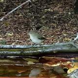 photo 2021-09-24 15-16-47 poszata