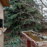 photo 2021-11-19 14-27-17