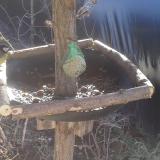 photo 2019-02-12 10-37-22