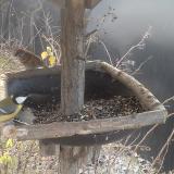 photo 2019-12-29 08-57-47