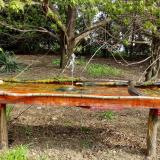 photo 2021-04-20 09-27-26