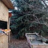 photo 2021-12-22 09-28-37