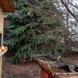 photo 2021-12-16 11-10-02