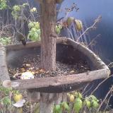 photo 2019-12-08 13-04-16