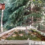 photo 2023-10-05 11-23-25