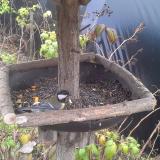 photo 2019-12-09 12-39-07