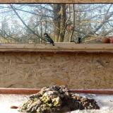 photo 2022-01-19 14-28-19