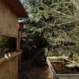 photo 2022-01-02 14-00-12