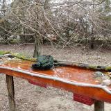 photo 2021-03-24 08-41-59