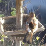 photo 2019-12-17 14-18-49