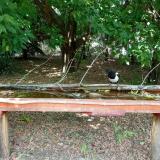 photo 2021-07-02 13-13-19