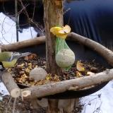 photo 2019-01-15 12-00-18