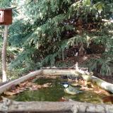 photo 2023-10-04 15-35-04