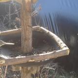 photo 2019-02-18 09-27-28