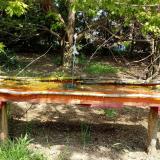 photo 2021-04-26 11-56-27