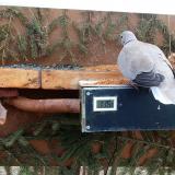 photo 2021-03-06 11-19-08