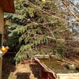 photo 2021-12-15 13-09-50