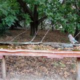 photo 2021-09-20 10-00-59