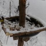 photo 2019-01-05 13-02-50