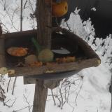 photo 2019-01-24 09-57-38